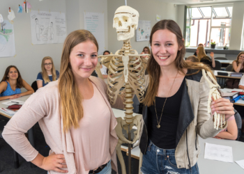 Ergotherapie – der Mensch im Mittelpunkt