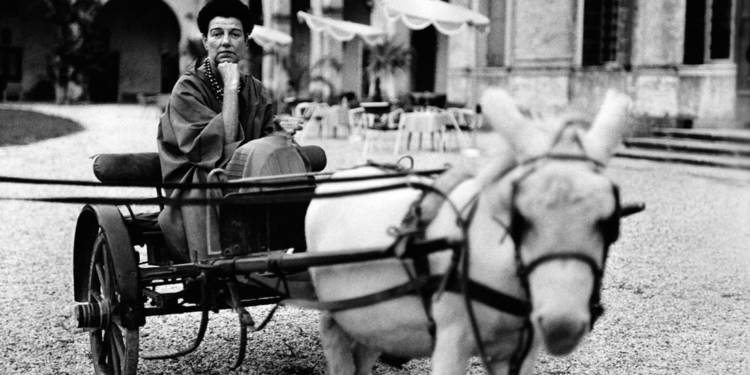 Doku-Dienstag: ‚Peggy Guggenheim – Ein Leben für die Kunst‘ im Filmclub