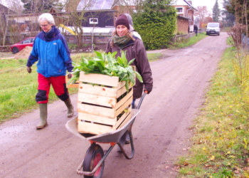 Unterstützung für neue Ideen im öffentlichen Grün