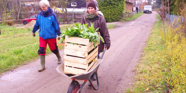 Unterstützung für neue Ideen im öffentlichen Grün