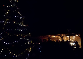 7. Weihnachtsbaum Aufstellen in Kastorf