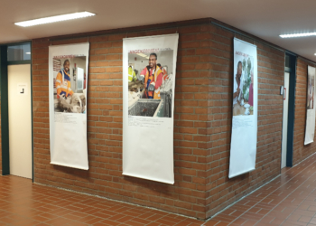 !ANGEKOMMEN! Ich arbeite.