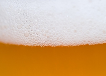 ‚Hopfen und Malz – Gott erhalt`s!‘ – Das etwas andere Brauseminar