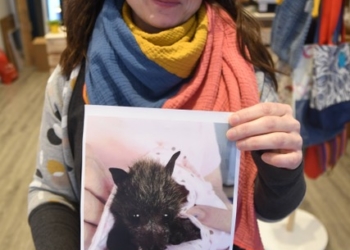 Nähen für Australien – Spendenaktionswoche in der MachBar