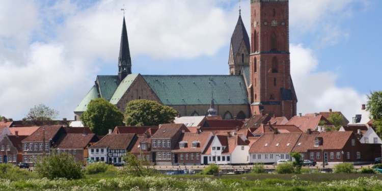 Volkstreffen in Ratzeburgs dänischer Partnerstadt Ribe