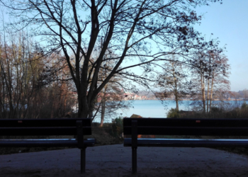 Ratzeburgs neuer Aussichtspunkt