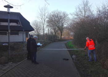 Ratzeburg: Schranken im ‚Alten Postweg‘ sollen Krötenwanderung schützen