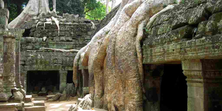Vom Herzogtum in die Welt: Eine geheimnisvolle Tempelanlage und die kambodschanische Seite einer Touristenstadt