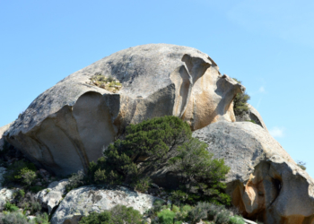 Sonne, Sand und Steine – mit dem GeoPark auf Exkursion