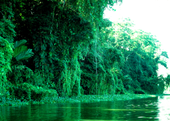 Vom Herzogtum in die Welt: Costa Rica – Land des Dschungels
