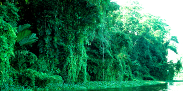 Vom Herzogtum in die Welt: Costa Rica – Land des Dschungels