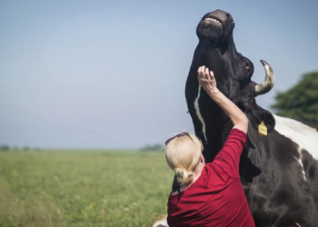 Doku-Dienstag: ‚Butenland‘ im Filmclub