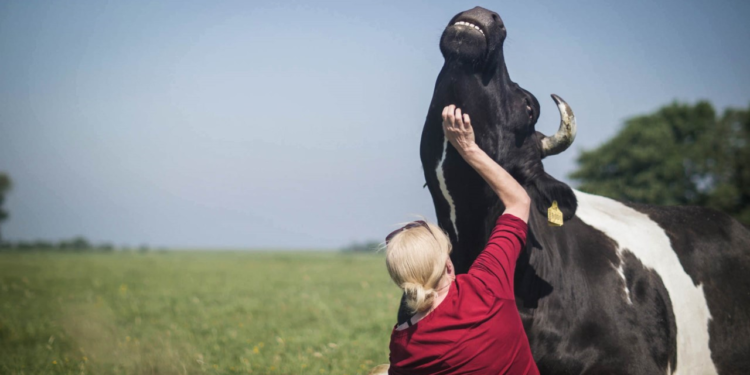 Doku-Dienstag: ‚Butenland‘ im Filmclub