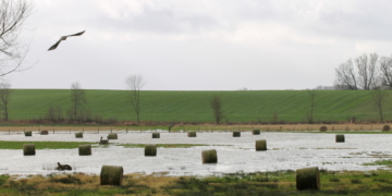 Die vergessenen Rundballen im vergessenen Dorf