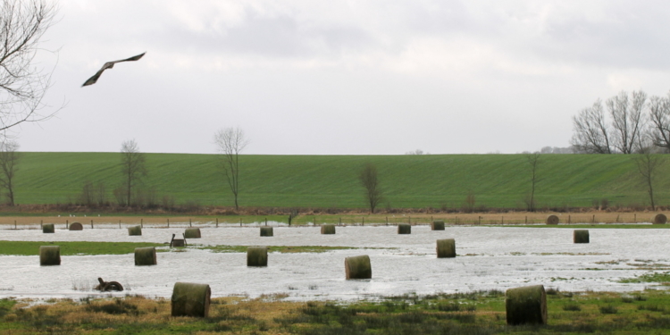 Die vergessenen Rundballen im vergessenen Dorf
