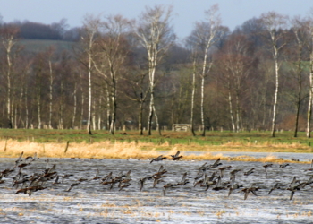 Der Winterorkan ‚Sabine‘ sorgt für genug Wind in den Flügeln