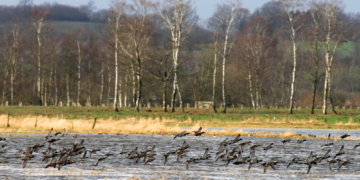 Der Winterorkan ‚Sabine‘ sorgt für genug Wind in den Flügeln