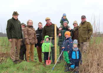 Malus sylvestris gleich hundertfach