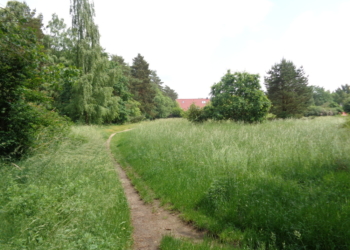 Beginn der vorbereitenden Erschließungsarbeiten für das Baugebiet ‚Immenstelle‘