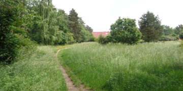 Beginn der vorbereitenden Erschließungsarbeiten für das Baugebiet ‚Immenstelle‘