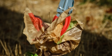 Umweltschutz fängt vor der Haustür an – Frühjahrsputz in Mölln