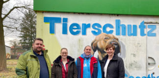 Tierheim Geesthacht Herzogtum Direkt