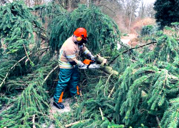 Wetterbedingte Einsätze, Türöffnungen für den Rettungsdienst sowie Fehlalarme durch Rauchwarnmelder prägten den Februar 2020