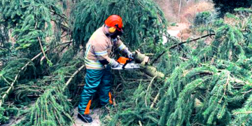 Wetterbedingte Einsätze, Türöffnungen für den Rettungsdienst sowie Fehlalarme durch Rauchwarnmelder prägten den Februar 2020