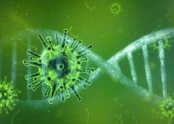 Erster bestätigter Covid-19 Fall im Kreis Herzogtum Lauenburg