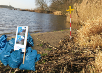 ‚Sauberes Elbufer‘ – Grüne und Altstadtbewohner sammeln Müll