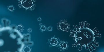 Kreis Herzogtum Lauenburg setzt Landeserlass zu Kontaktbeschränkungen um