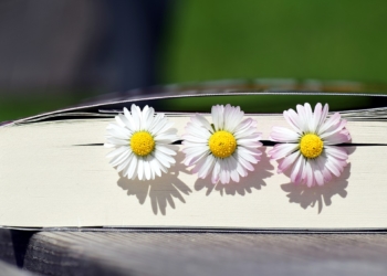 Ratzeburg: Lesefrühling in den Herbst verschoben