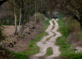 Die ‚urigsten Feldwege‘ im Herzogtum