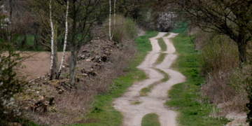 Die ‚urigsten Feldwege‘ im Herzogtum