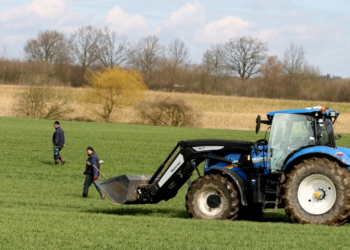 Steinesammeln ist und bleibt ungeliebte Handarbeit