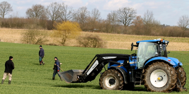Steinesammeln ist und bleibt ungeliebte Handarbeit