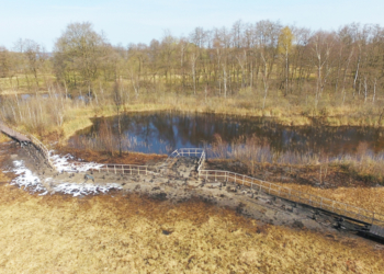 Gemeinsam gegen Vandalismus – Spendenaufruf für den Zarrentiner Moorsteg