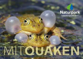 ‚Mitquaken!‘ – Angebot zum Mitgestalten beim Naturpark Lauenburgische Seen