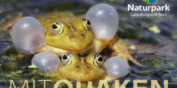 ‚Mitquaken!‘ – Angebot zum Mitgestalten beim Naturpark Lauenburgische Seen