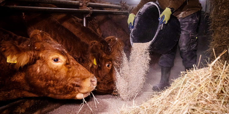 IG BAU: Beschäftigte in der Landwirtschaft müssen um Zusatzrente bangen