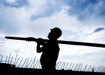 Bau von 989 Wohnungen im Kreis Herzogtum Lauenburg genehmigt