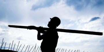 Bau von 989 Wohnungen im Kreis Herzogtum Lauenburg genehmigt