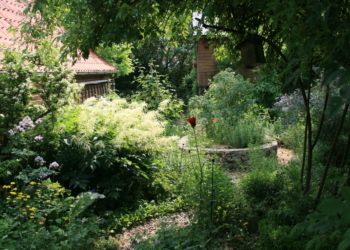 Neugierig auf einen Naturgarten?