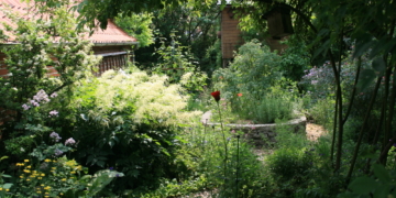 Neugierig auf einen Naturgarten?