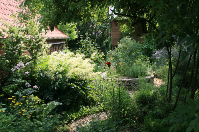 Neugierig auf einen Naturgarten? Herzogtum direkt