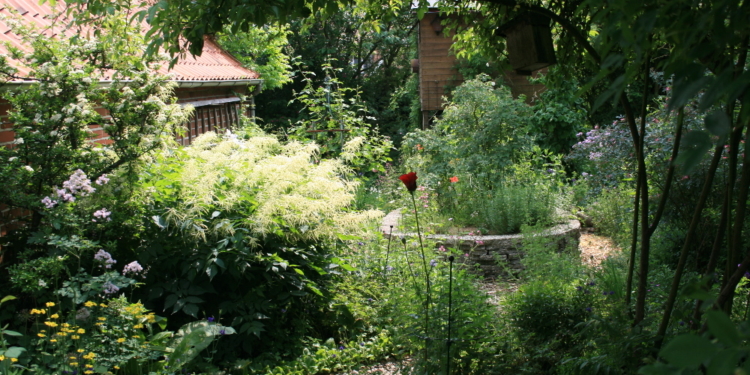 Neugierig auf einen Naturgarten?