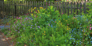 Besuch in der blütenreichen Brummelbrede