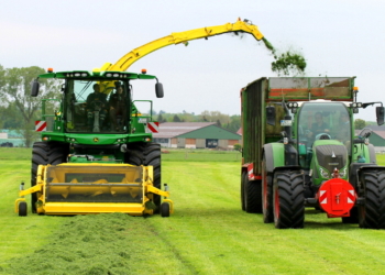 In Duvensee geht zur Sache