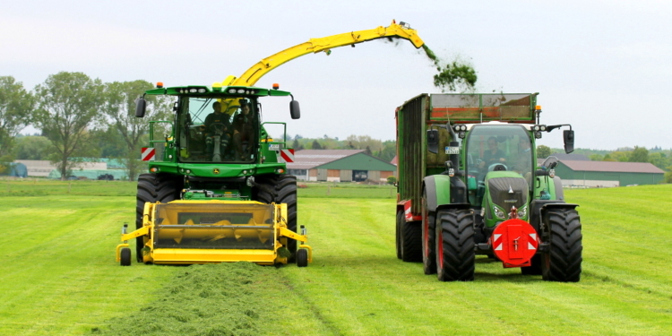 In Duvensee geht zur Sache