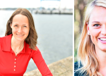 Onlinediskussion der Grünen – ‚Windenergie gemeinsam ausbauen‘